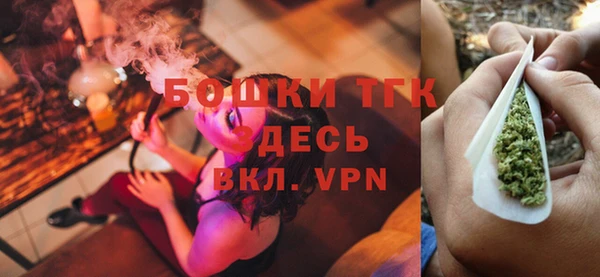 молекула духа Алексеевка