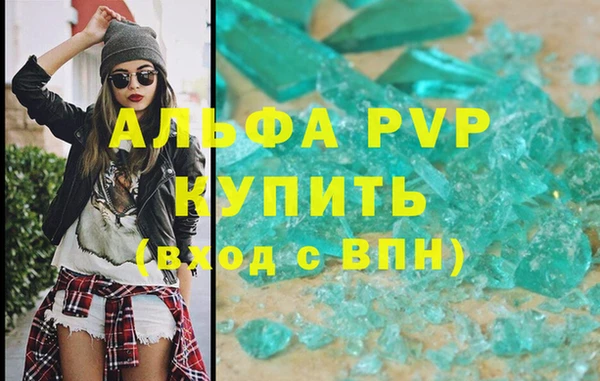 стаф Алексин