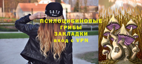 молекула духа Алексеевка