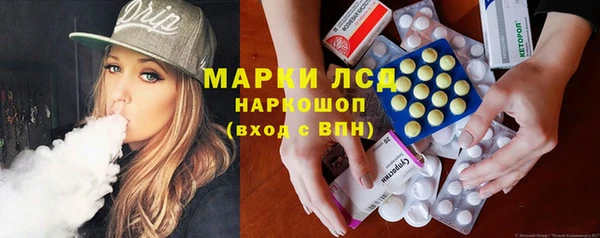 стаф Алексин