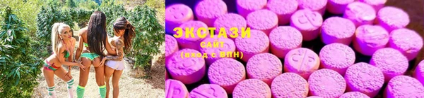 стаф Алексин