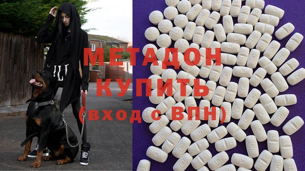 стаф Алексин